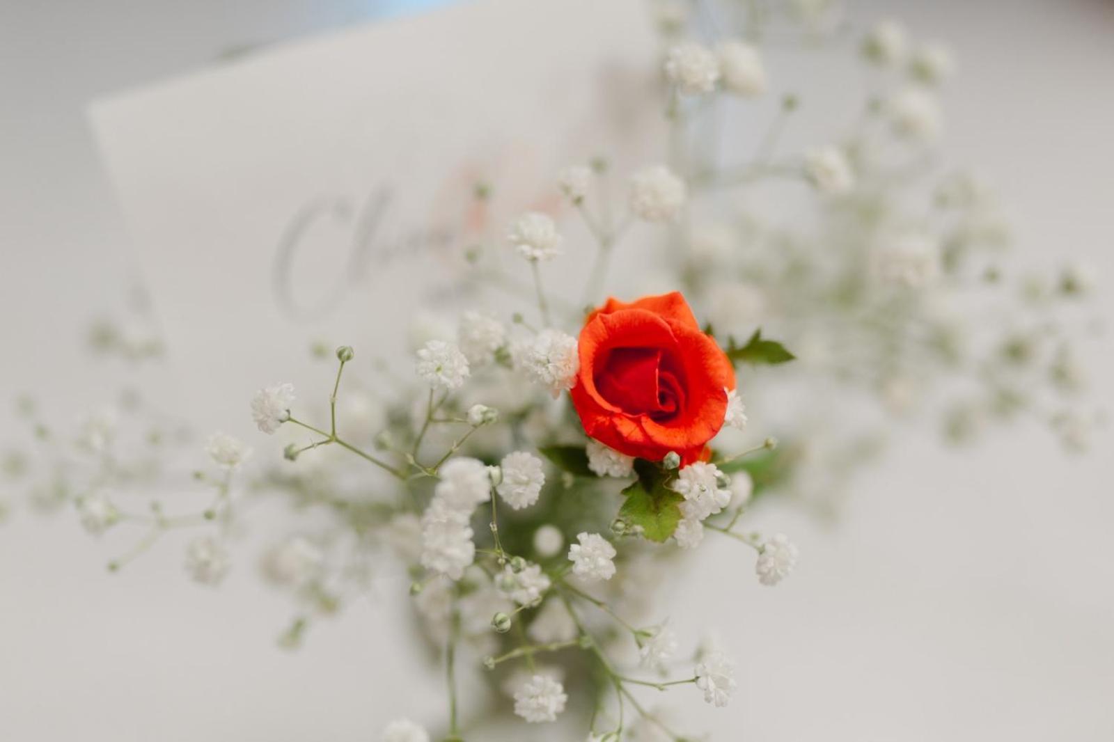 Claire Rose B&B Matera Kültér fotó
