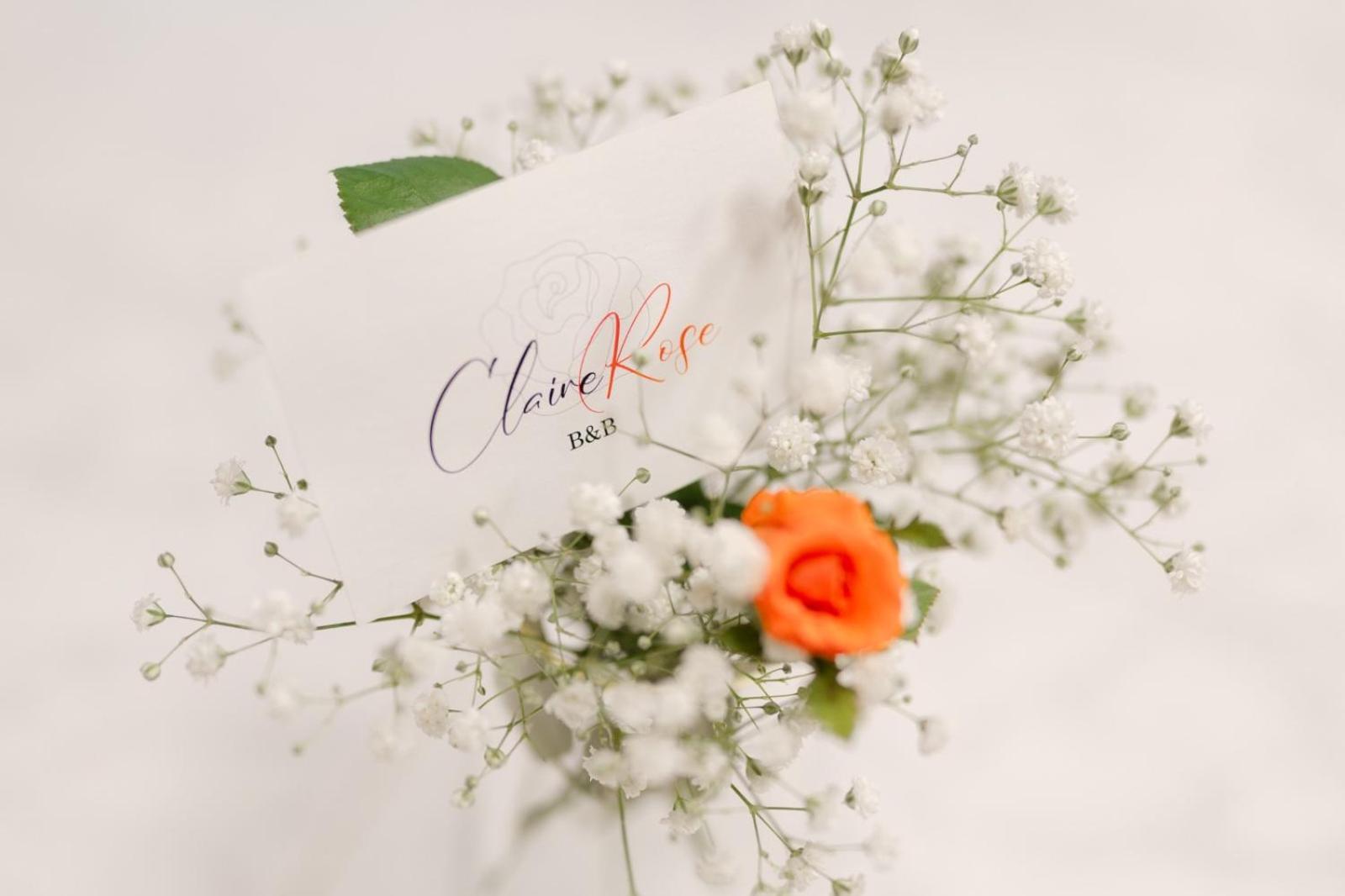 Claire Rose B&B Matera Kültér fotó
